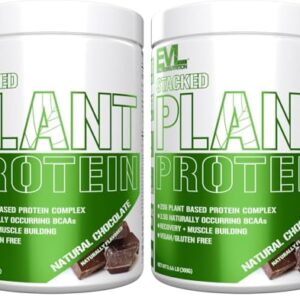 EVLUTION NUTRITION BCAAs Powder – 300 G