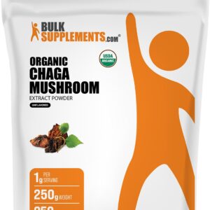 BulkSupplements.com Chaga mushroom 1 g Powder – 1 g