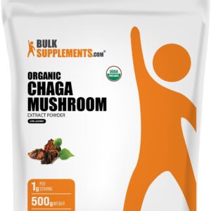 BulkSupplements.com Chaga mushroom 1 g Powder – 1 g