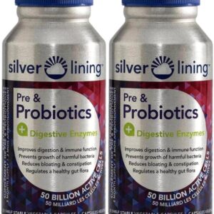 Silver Lining Pre & Probiotics Digestive Enzymes 50 Billion – 240 count