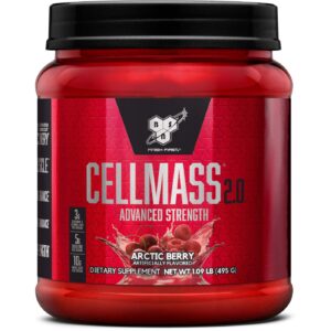 BSN BCAAs – 25 servings