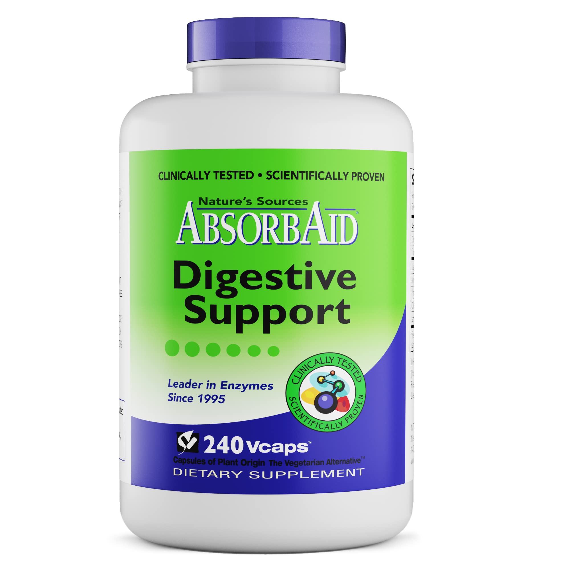 AbsorbAid Digestive Enzymes Capsule – 240 vcaps