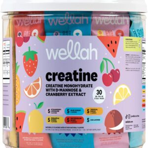 Wellah Creatine Packet – 30 stick