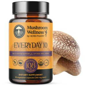 Lion’s mane mushroom Capsule – 90 capsules