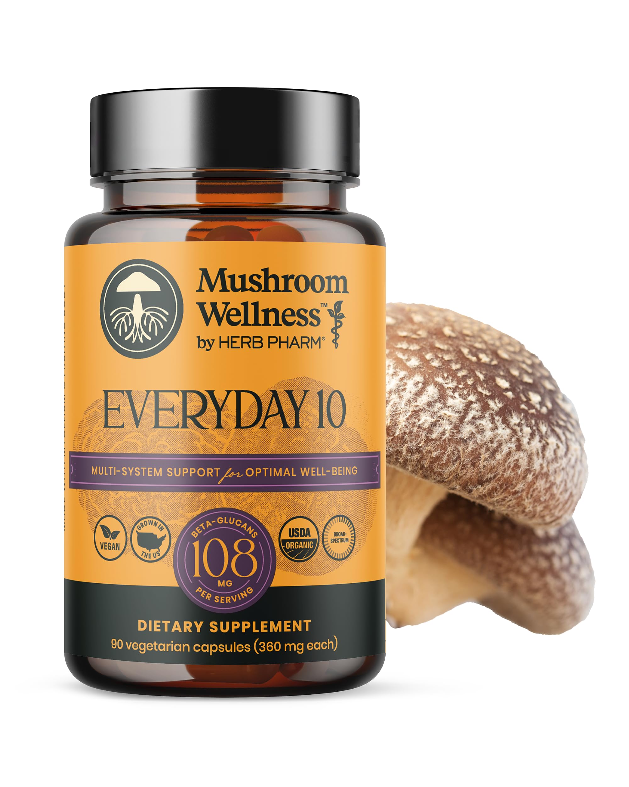 Lion's mane mushroom Capsule – 90 capsules