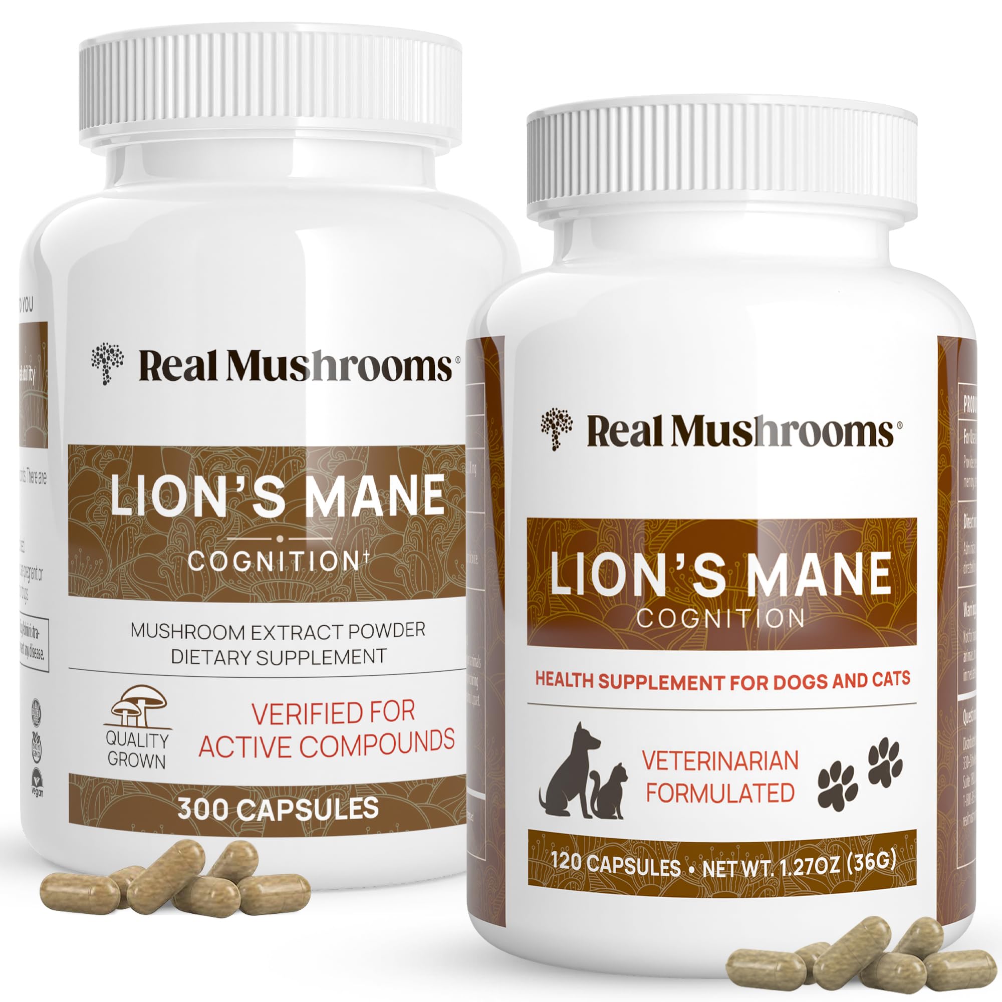 Real Mushrooms Lions Mane for Lion's mane mushroom