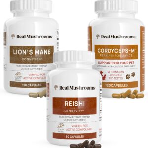 Lion’s mane mushroom Capsule – 120 capsules