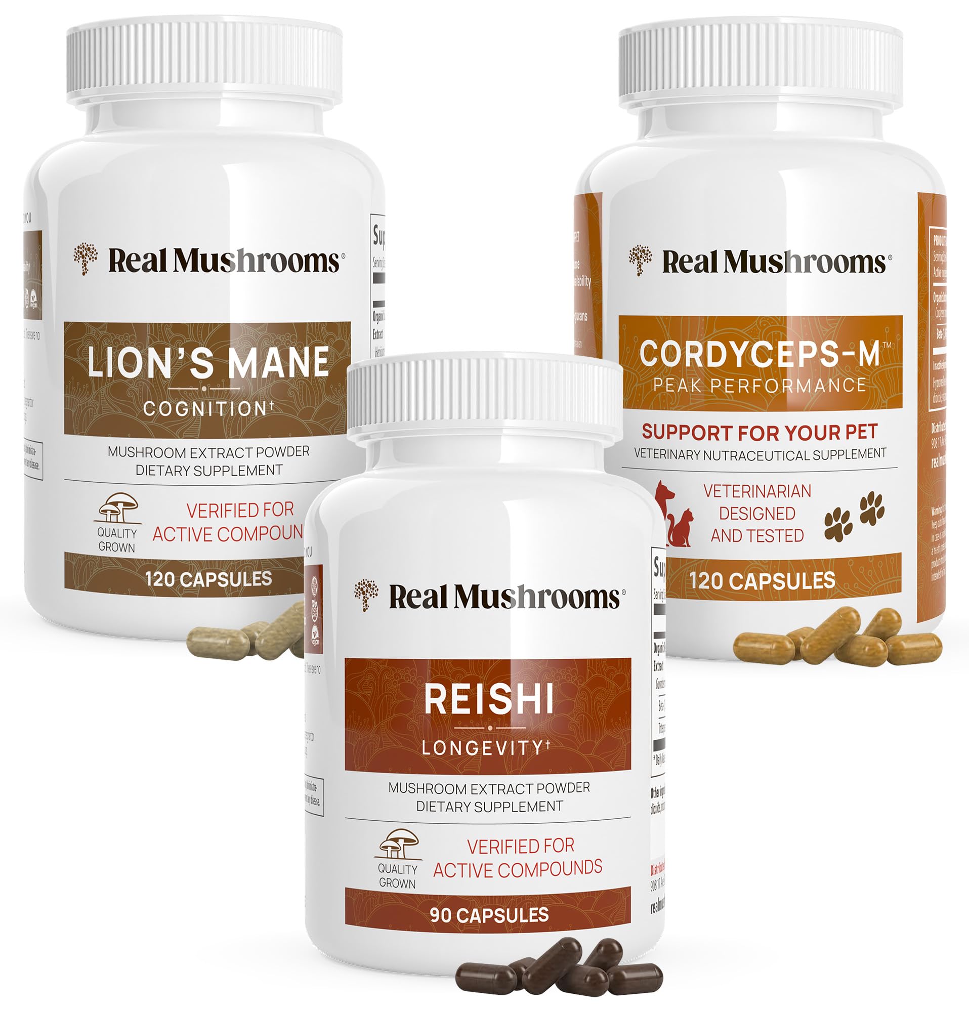 Lion's mane mushroom Capsule – 120 capsules