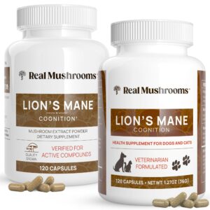 Real Mushrooms Lions Mane for Lion’s mane mushroom